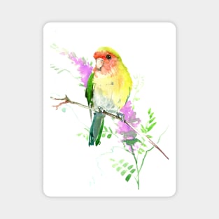 Lovebird Magnet