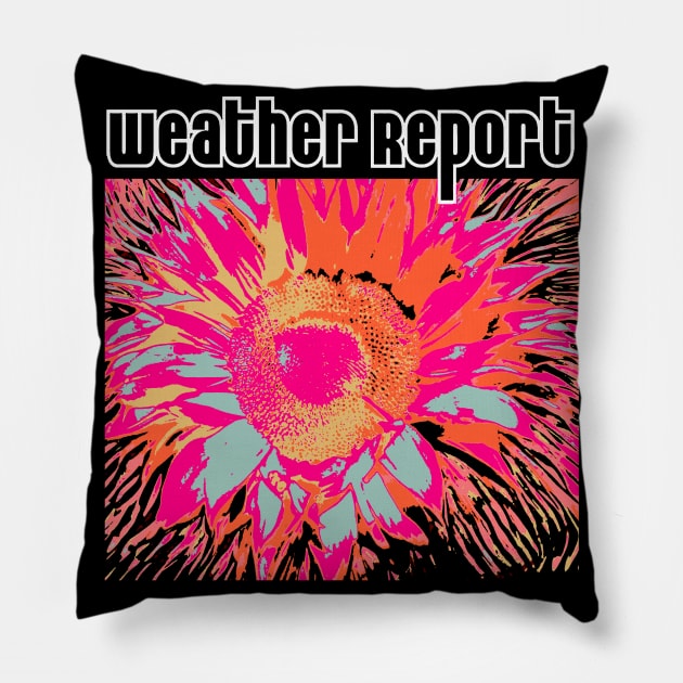 Weather Report Pillow by Ezahazami