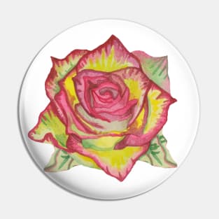 Beautiful yellow rose with pink petals Pin