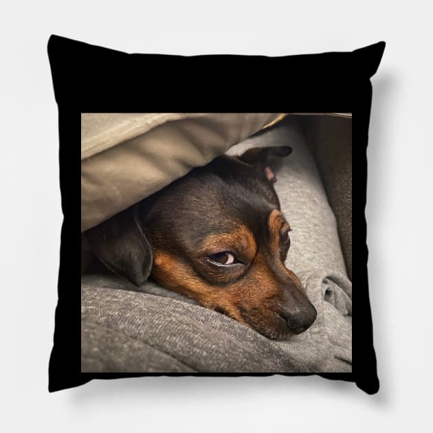 Chi Got My Eye on You! Pillow by Tonysurrette