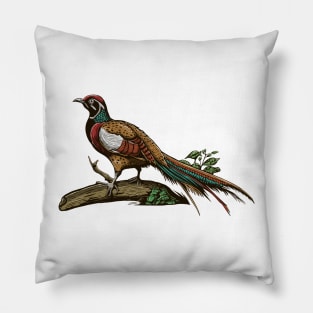 Hand Drawn Exotic Bird on tree branch Pillow