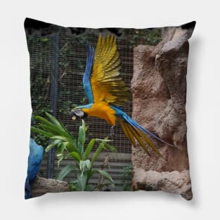 Macaw Parrot Pillow