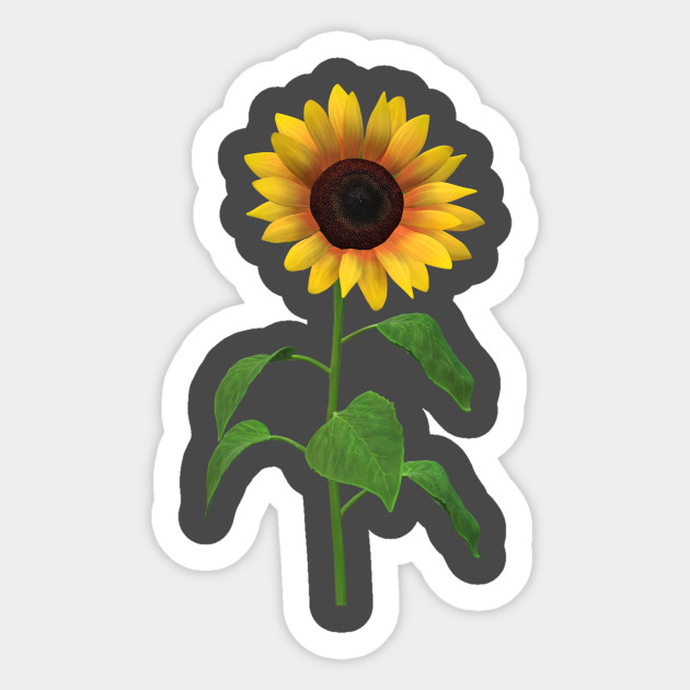 I Love Sunflower Sunflower Lover Gift Sticker Teepublic
