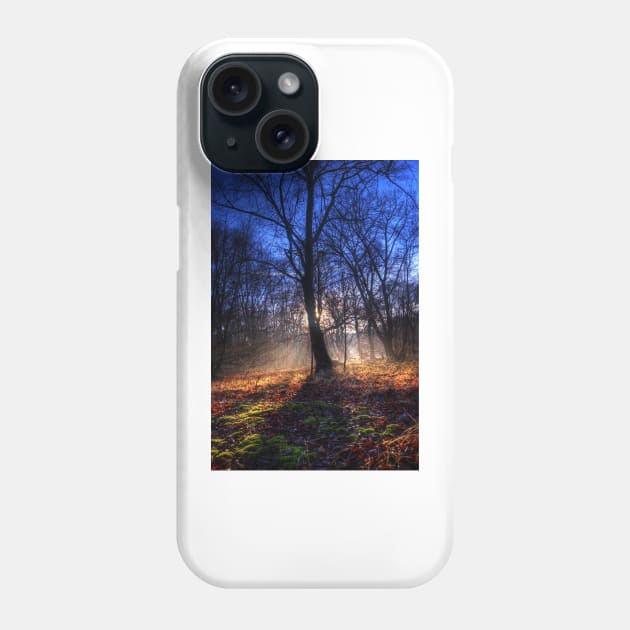 Autumn in Epping Forest Phone Case by Nigdaw