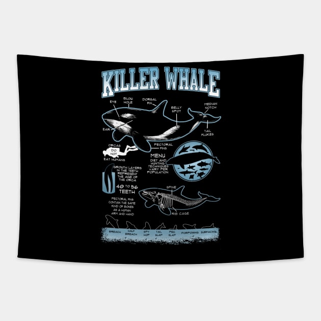 Killer Whale Diagram Physical Characteristics Tapestry by theDarkarts