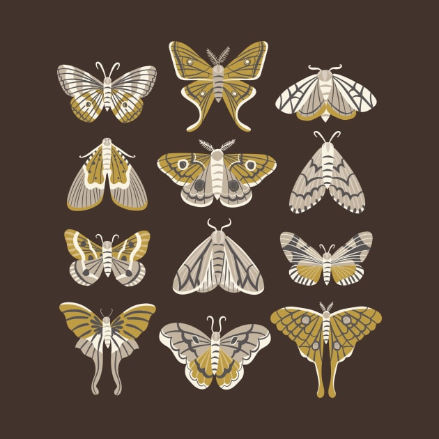 Moths by allisonromerodesign