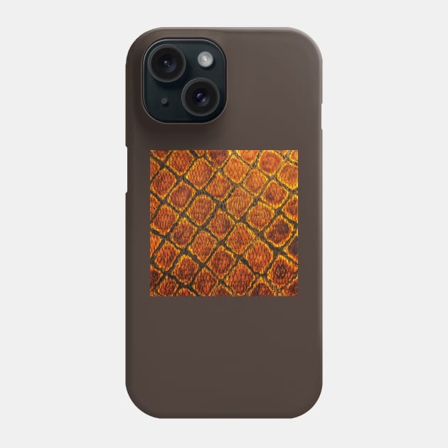 Rattlesnake skin Phone Case by Matt Starr Fine Art