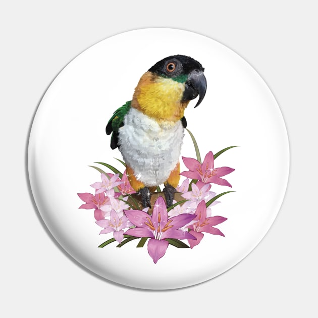 caique Pin by obscurite