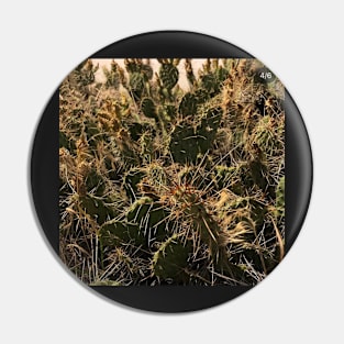 Cactus sticker Pin