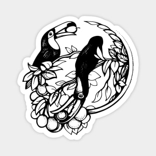 Toucans Magnet