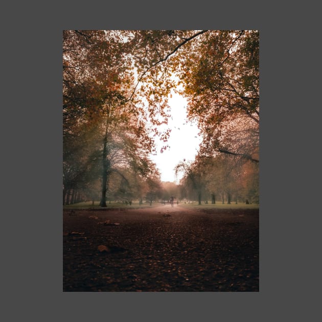 Green Park Fog - London by Scala Ad Astra Forum