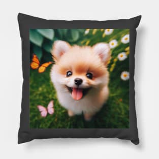 Pomeranians are a small but hardy breed Pillow