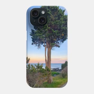 Solo Beach Tree Phone Case