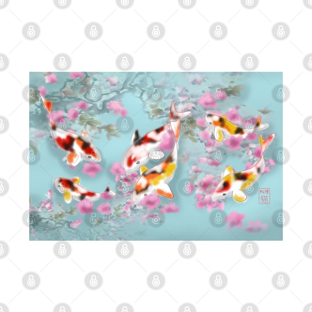 Koi carp with sakura reflections in a turquoise pond by cuisinecat