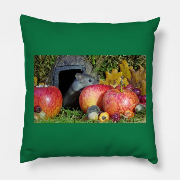 wild house mouse  in a apple Pillow by Simon-dell