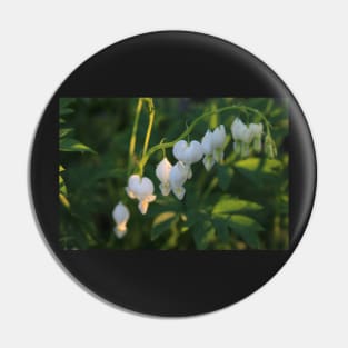 bleeding heart Pin