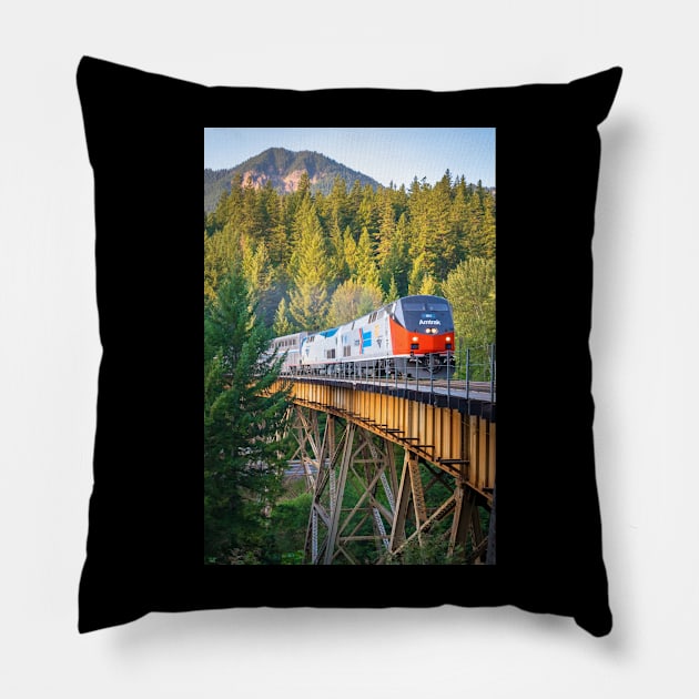 Big Red Arrow Pillow by Bonita Vista Photography