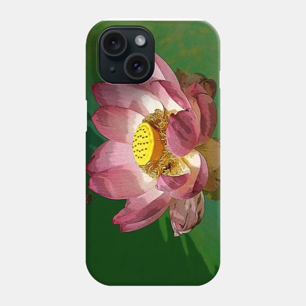 The sacred lotus Phone Case by jwwallace