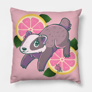 Grapefruit Badger Splash Pillow