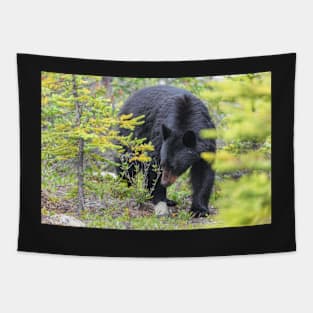 Black Bear Tapestry