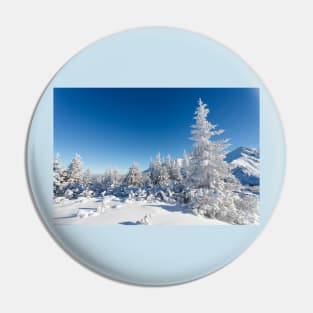 Winter mountain forest landscape, Tatry Mountains Pin