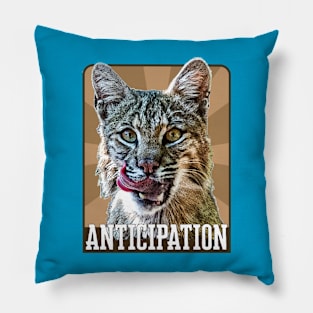 Anticipation- bobcat Pillow