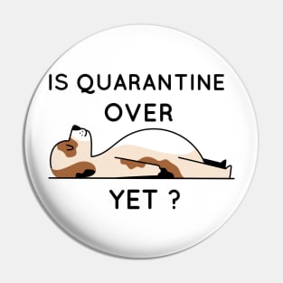 Is quarantine over yet Pin