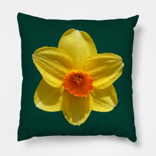 Daffodil Pillow