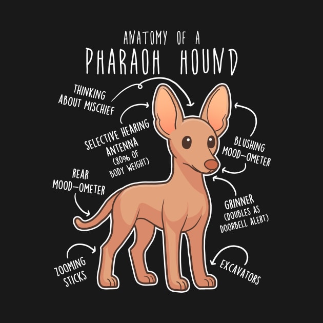 Pharaoh Hound Dog Anatomy by Psitta