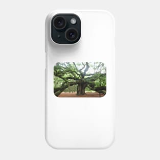 The Angel Oak Tree in South Carolina Phone Case