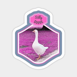 Silly goose on the pink grass Magnet