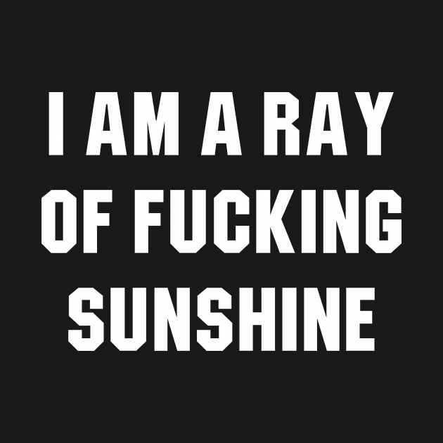 I Am a Ray of Fucking Sunshine by redsoldesign