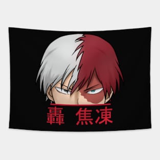 Shoto todoroki Tapestry