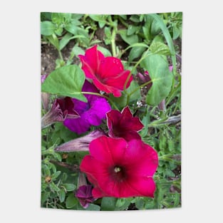 Multicolored Petunias Tapestry