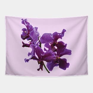 Orchids - Spray of Purple Orchids Tapestry