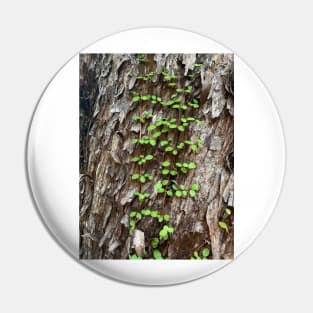 Vine Pin