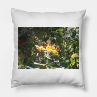 Monarch Carousel Pillow