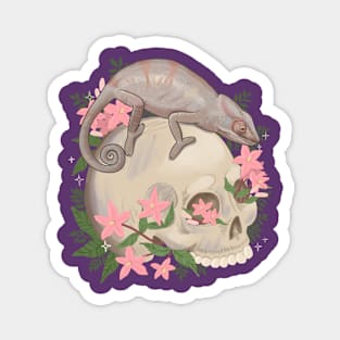 Chameleon and Skull Magnet