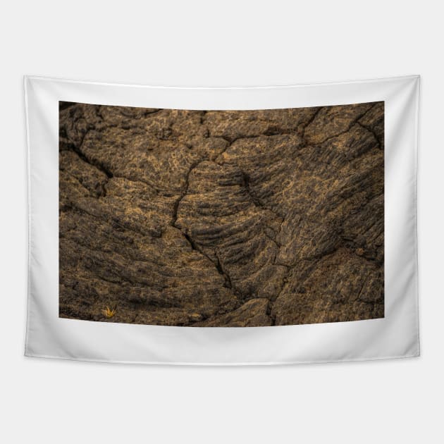 Volcanic rock Tapestry by KensLensDesigns