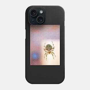 Catface Spider Phone Case