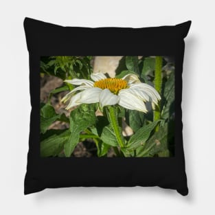 Newly Opened Coneflower by Debra Martz Pillow