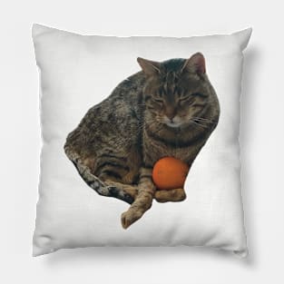 tabby cat holding an orange funny meme Pillow