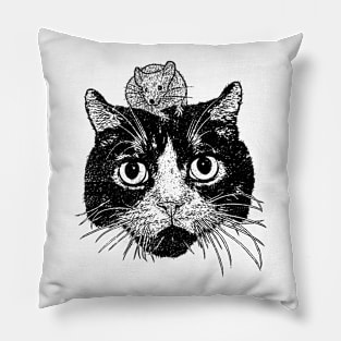 Unusual Frendship Pillow