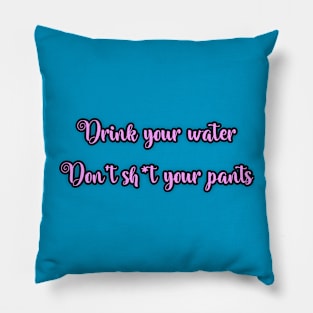 Drink your water don’t sh*t your pants Pillow