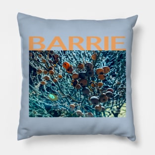 Barrie band fan Pillow