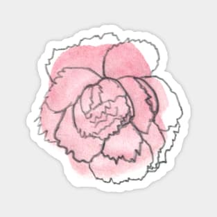 Pink Carnation Solo 2 Magnet