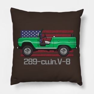 Convertible Green Pillow