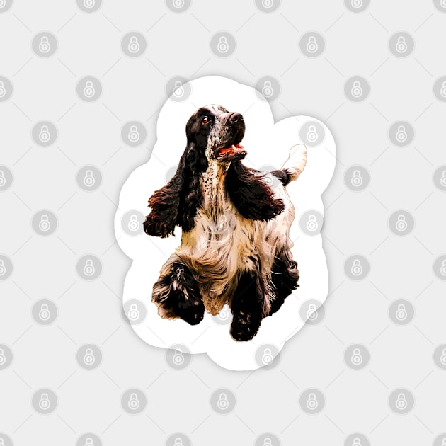 Cocker Spaniel on a merry dog walk Magnet by ElegantCat