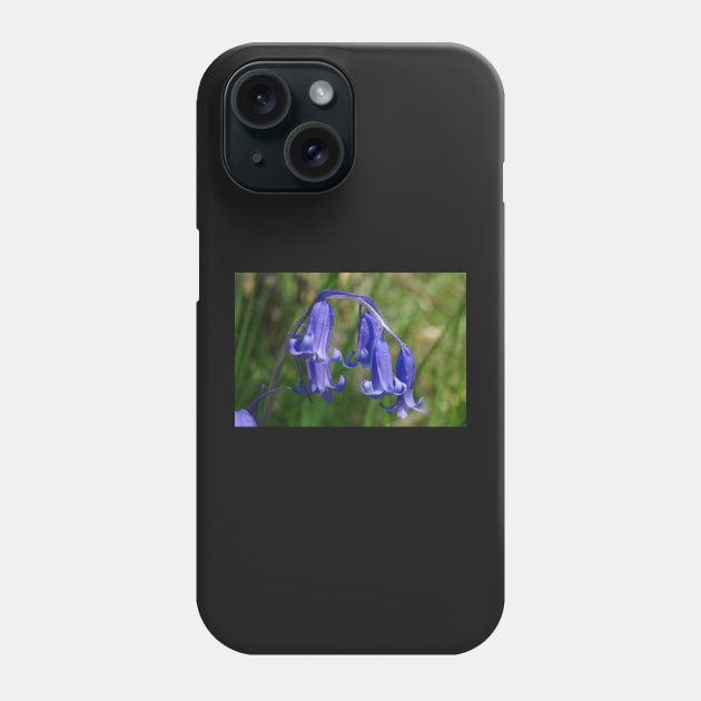 Bluebell in the shade Phone Case by AH64D