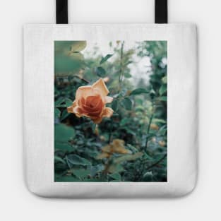 David Austin Lady of Shalott Peach Heirloom Roses Tote